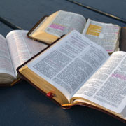 FREE Daily Bible Reading Notes Online